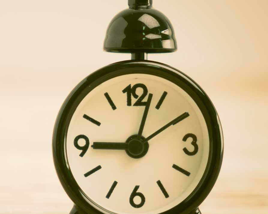 Hickory Chicory Dock