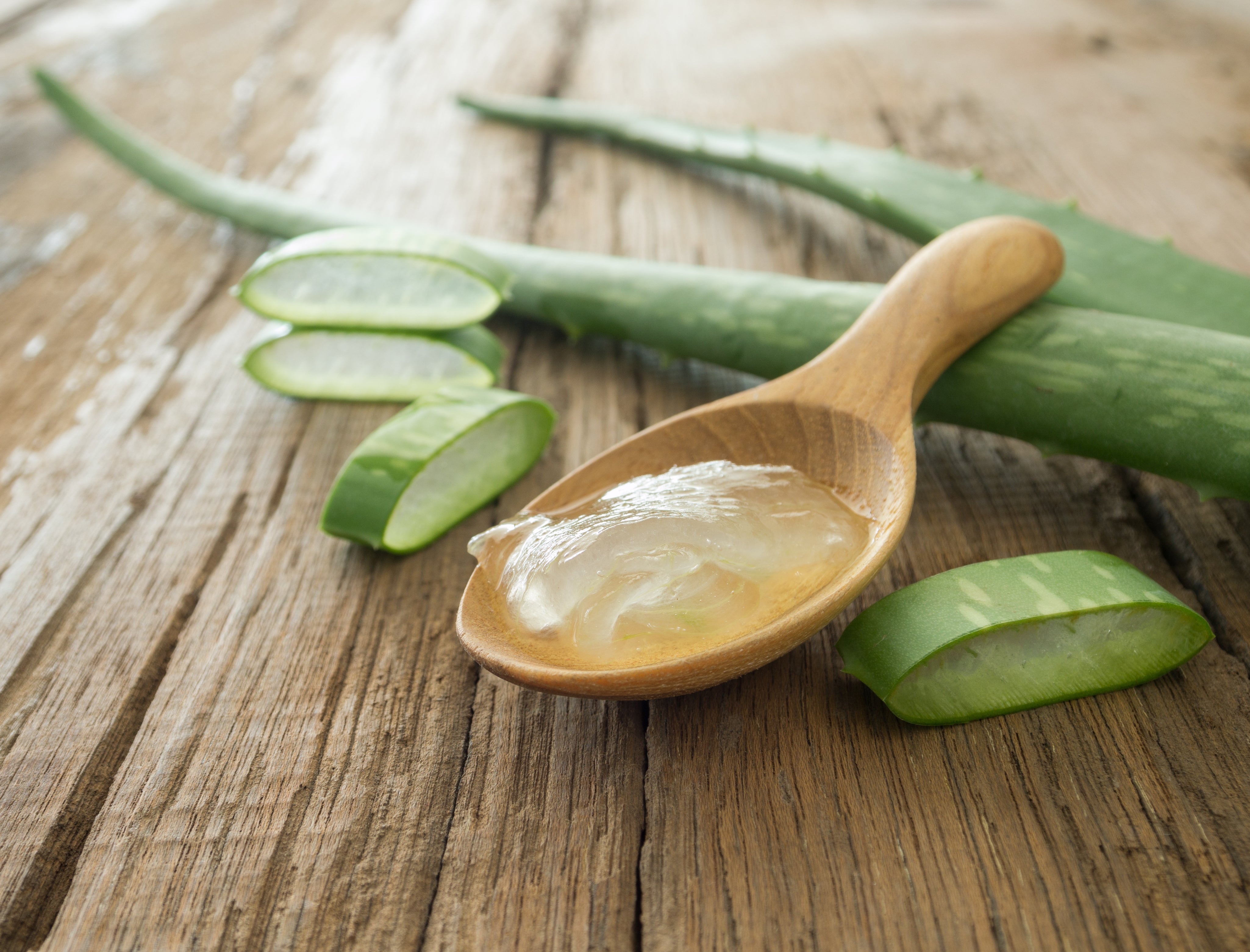 Benefits of Aloe Vera In Skincare